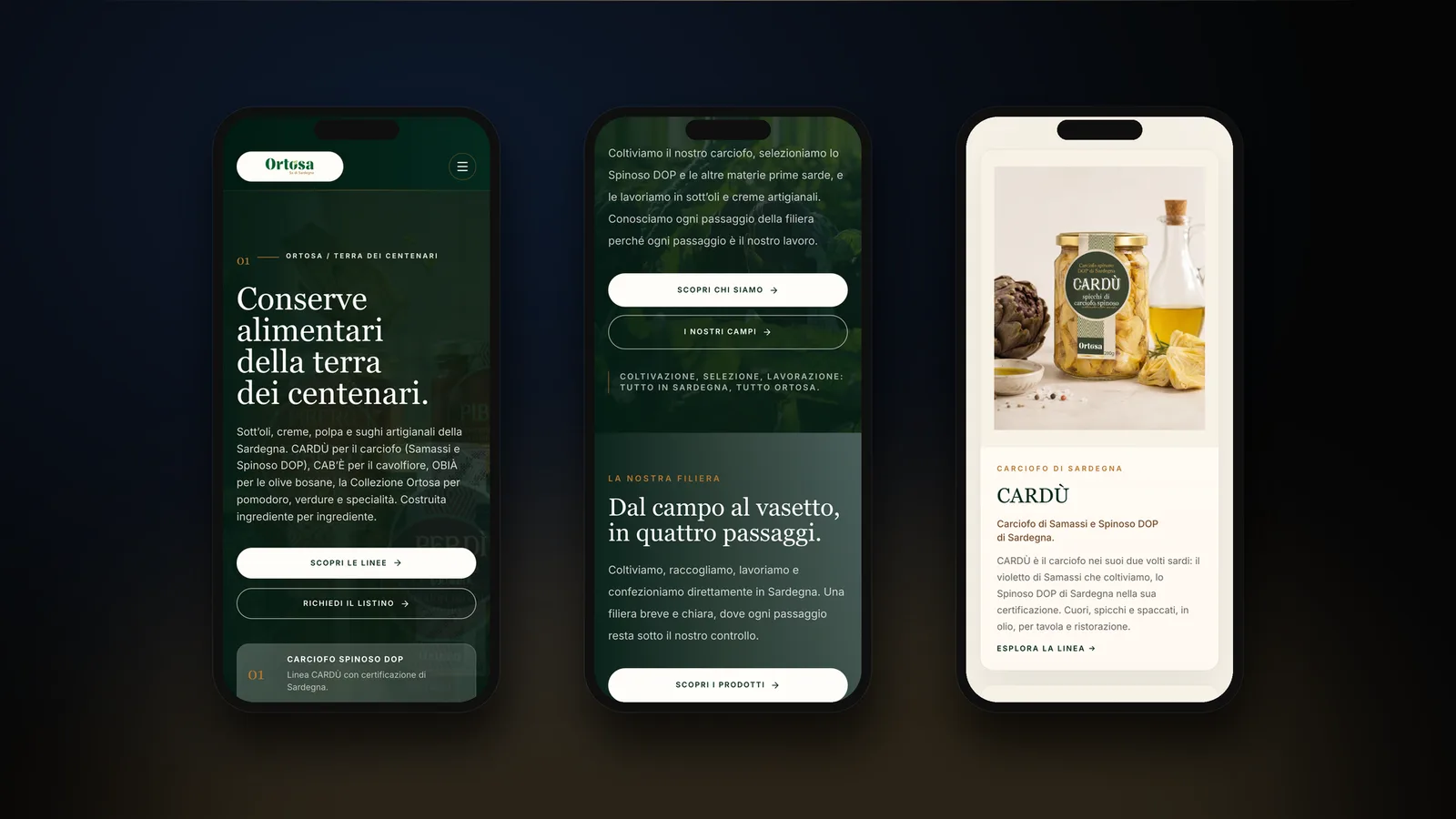 Il sito realizzato per Ortosa